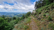 Orgon_26_06-9