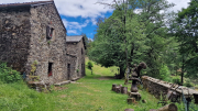 Orgon_26_06-90