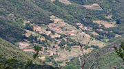 Orgon_26_06-93