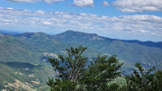 Orgon_26_06-94