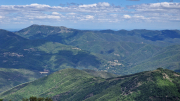 Orgon_26_06-98
