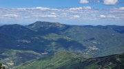 Orgon_26_06-99