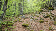 Pises_26_04-110