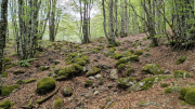 Pises_26_04-111