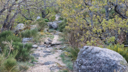 Pises_26_04-141