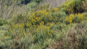 Pises_26_04-28
