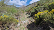Pises_26_04-29