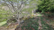 Pises_26_04-39
