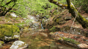Pises_26_04-44