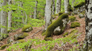 Pises_26_04-46