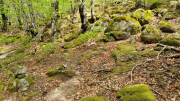 Pises_26_04-47