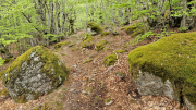 Pises_26_04-48