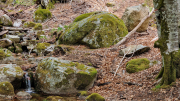 Pises_26_04-50