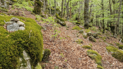 Pises_26_04-53
