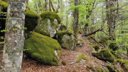 Pises_26_04-54
