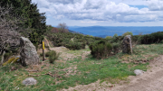 Pises_26_04-62