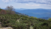 Pises_26_04-63