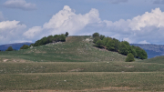 Pises_26_04-66