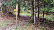 Pises_26_04-69