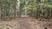 Pises_26_04-71