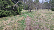Pises_26_04-72