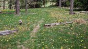 Pises_26_04-74