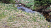 Pises_26_04-78
