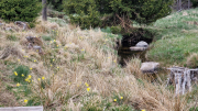 Pises_26_04-84