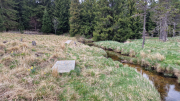 Pises_26_04-85