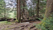 Pises_26_04-88