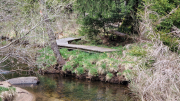 Pises_26_04-90