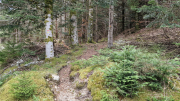 Pises_26_04-92