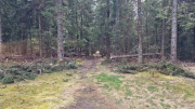 Pises_26_04-94