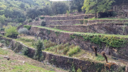 Valborgne_26_10-101