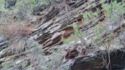 Valborgne_26_10-21