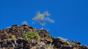 Valborgne_26_10-23