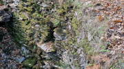 Valborgne_26_10-69