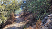 Valborgne_26_10-72