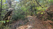 Valborgne_26_10-78