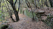 Valborgne_26_10-82