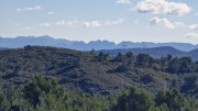 Aramon_26_01-102