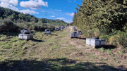 Aramon_26_01-105