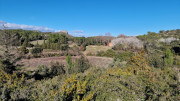 Aramon_26_01-107
