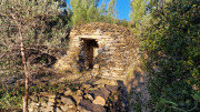 Aramon_26_01-11