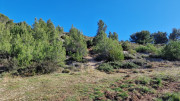 Aramon_26_01-111