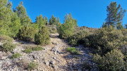 Aramon_26_01-112