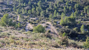 Aramon_26_01-135
