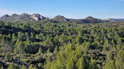 Aramon_26_01-137
