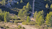 Aramon_26_01-147