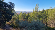 Aramon_26_01-15